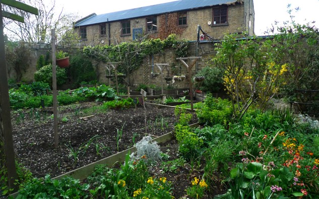Hackney City Farm í miðri London.  ref: http://www.francishur.com/hackney-city-farm.html