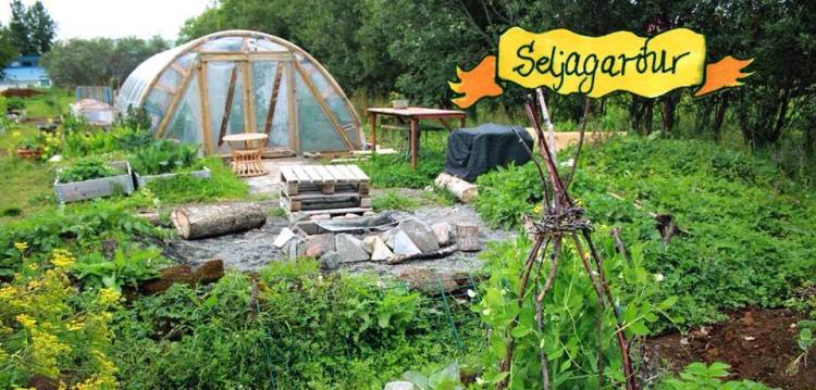 Gróðurhúsið okkar og allskyns ræktun.jpg